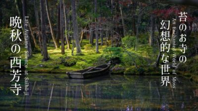 【晩秋の京都】西芳寺｜静寂と苔の世界 4K｜Late Autumn in KyotoSilence and Moss at Saihō-ji  4K｜Trip coffee