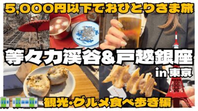 5,000円以下で東京観光！等々力渓谷で紅葉狩りと戸越銀座で食べ歩きしたOLの休日🍂🍻🍽️✨