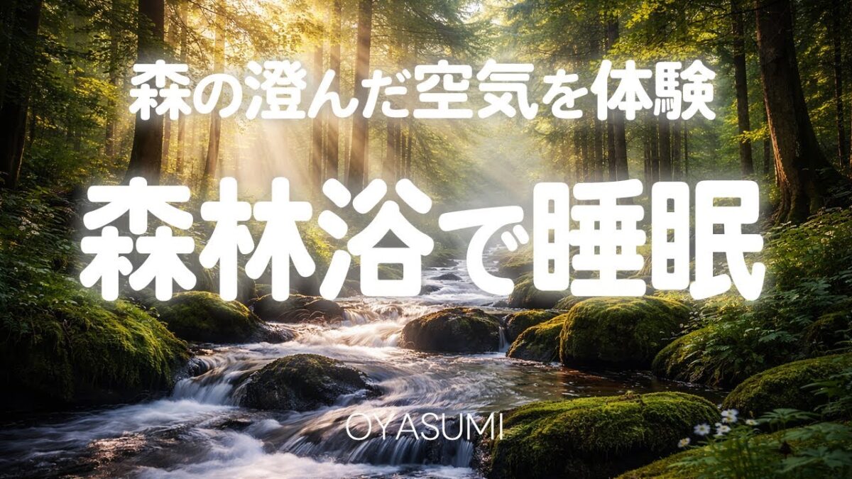 【睡眠用BGM】森の澄んだ空気を体験 森林浴で睡眠｜睡眠導入｜疲労回復 睡眠｜作業用BGM｜勉強 集中｜リラックス