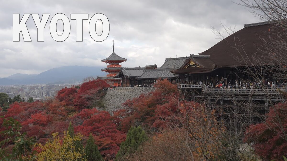 Kyoto’s Most Iconic Fall View | Kiyomizu-dera 清水寺 at Peak Autumn Foliage