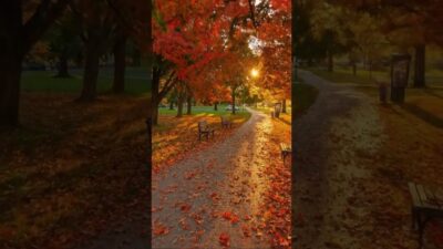 Love that sunset 🌅 #nature #asmr #rainoundforsleep