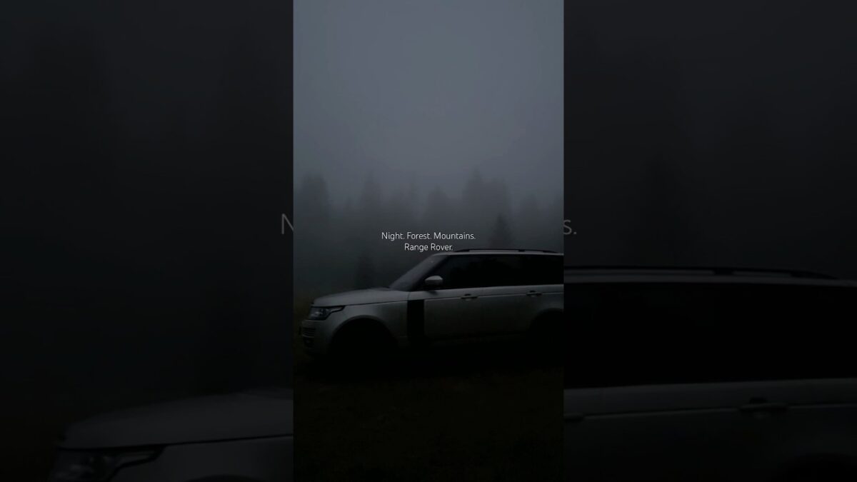Night. Forest. Mountains. Range Rover.#nature #outdoors #wildlife #camping #asmr
