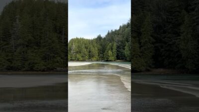 Pacific Ocean ASMR • Misty PNW Coastline #nature #asmr #pnw #pnwlife #pnwtravel #ocean sounds
