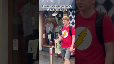 Pigeon walk in Japan #9.#sensojitemple#tokyo#japan#travel#walking#viral#youtubeshorts#trending