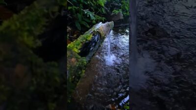“Pure Nature ASMR – Calming Spring Water Flow” #asmr #natureasmr #relaxing