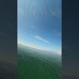 Rainy City Stroll 🌧️ | 雨の街の散歩で心を洗う