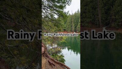 Rainy Rainforest Lake Sounds | Relax, Focus, Sleep #rainforest #rainsounds #rain #nature #asmr #fyp