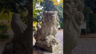 Red Torii Gate & Autumn Gold ⛩️ Sacred Shrine Walk in Japan #shorts 朱色の鳥居と紅葉。神社の静かな秋景色