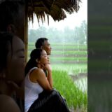 Relaxing Rain ASMR in a Bamboo Hut | Countryside Calm & Natural Ambience #asmr #rain #shorts #nature
