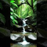 River Flow & Forest Birds | Deep Nature ASMR for Sleep, Relaxation & Meditation (No Music)