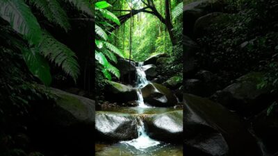 River Flow & Forest Birds | Deep Nature ASMR for Sleep, Relaxation & Meditation (No Music)