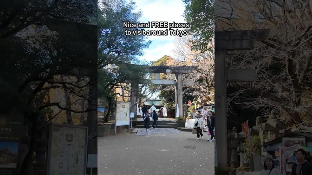 Save this for your next trip! #japan #tokyo #travel #explore #trip #autumn #street #walk #日本 #東京