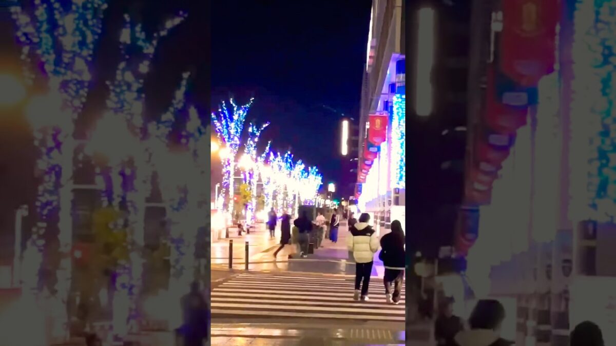 Toyota Winter Night Walk | Night View in Toyota #japan#toyota#travel