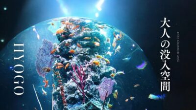 【時間を忘れてずっと見ていたい】デートや一人旅にもおすすめ 神戸観光＆温泉で癒される大人の休日Vlog｜atoa(アトア)モデルコース 兵庫観光 Hyogo Vlog