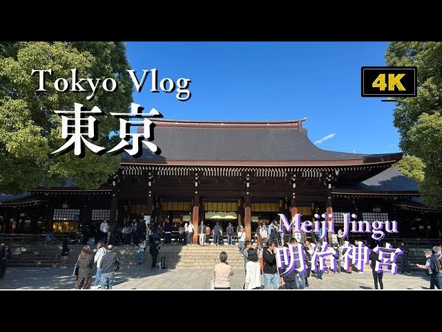 Walking the Giant Forest in Central Tokyo: Sacred Silence at Meiji Jingu Shrine ⛩️ 巨大な森。明治神宮の神聖静寂を歩く