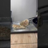 What’s in your Fridge?