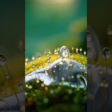 You can’t unsee this surreal nature ASMR 🌿✨