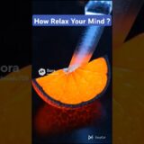 beast Trick Relax #nature #asmr #ytshorts #trending