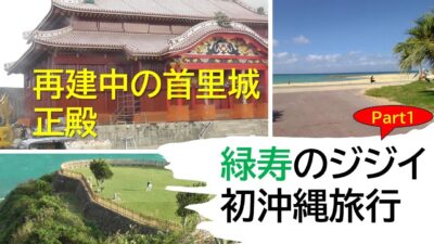 緑寿ジジイの初沖縄旅行（part1）