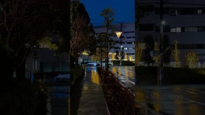 雨の東京のクリスマス ☔️🎄 #東京散歩 #日本の美 #rain #japan #tokyo #rainyday #vibes #雨 #雨の日 #雨音 #静かな時間 #雰囲気 #癒し動画