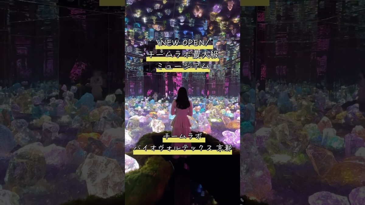 【最新スポット】京都に誕生したチームラボ最大のミュージアムを徹底解剖✨#shorts