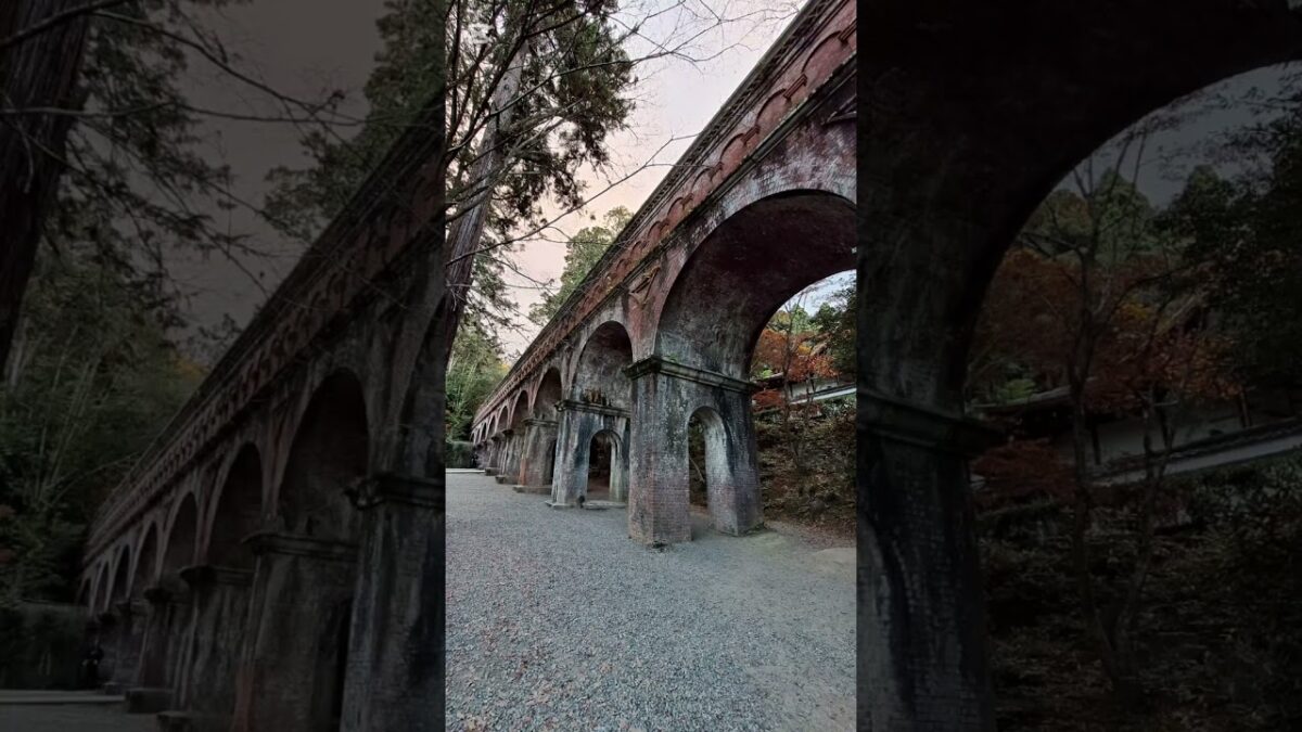 【京都】紅葉めぐり　#旅行 #京都 #紅葉 #shorts #kyoto #momiji #ショート