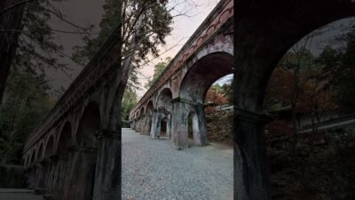 【京都】紅葉めぐり　#旅行 #京都 #紅葉 #shorts #kyoto #momiji #ショート