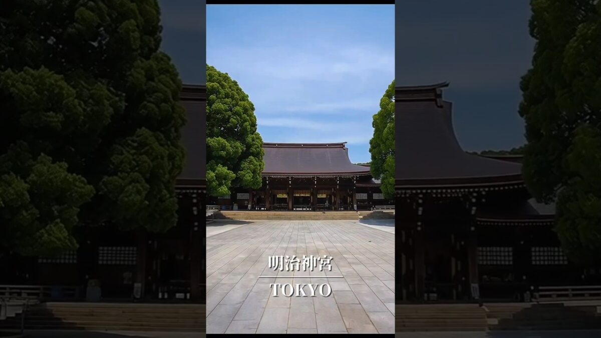 【明治神宮】喧騒から離れられる都会の杜 #寺社 #神社巡り #shrine #shorts