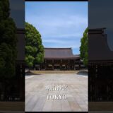 【明治神宮】喧騒から離れられる都会の杜 #寺社 #神社巡り #shrine #shorts