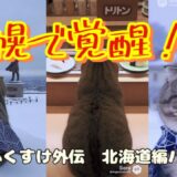 【北海道編】札幌で覚醒するふくすけ！しがみ猫の名場面まとめ【ショート総集編①】