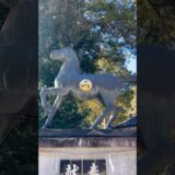 馬駈神事【住吉神社】