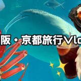 【音量注意⚠️】大阪・京都旅行《後編》
