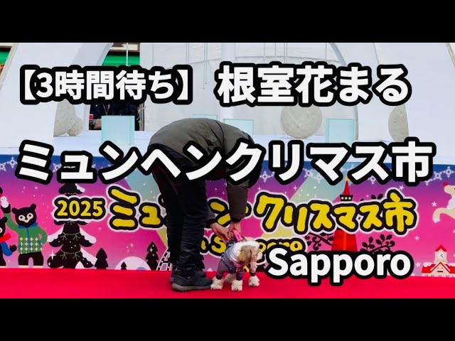 【北海道旅行】根室花まる寿司の大人気行列とクリスマスミュンヘン市
