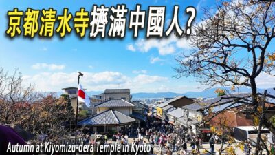 京都清水寺全是游客。中國游客最多嗎？秋天景色美極了。中國游客視角閑逛清水寺。