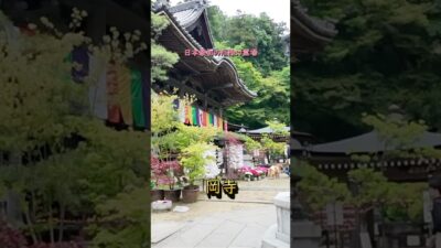 【寺社ご利益巡り】岡寺（東光山龍蓋寺）／奈良県明日香村（真言宗豊山派）#厄除け