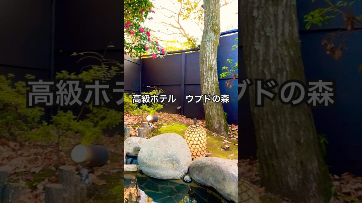 #ホテル #ホテル宿泊記 #ホテルライク #高級ホテル