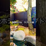 #ホテル #ホテル宿泊記 #ホテルライク #高級ホテル