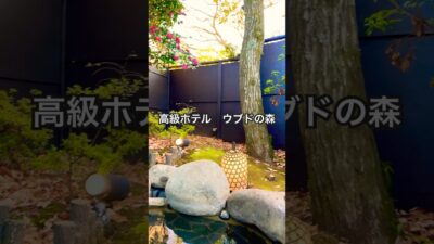 #ホテル #ホテル宿泊記 #ホテルライク #高級ホテル