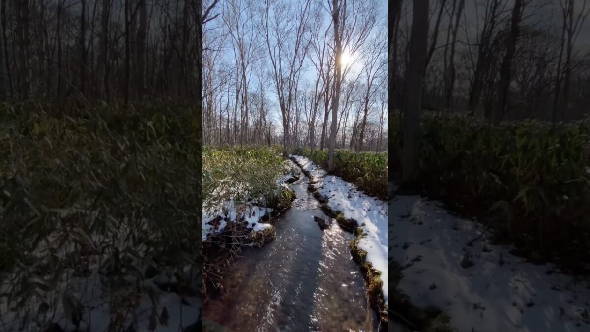 日本水百景🕹️支笏湖　屈斜路湖　ニセコ　京都