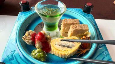 五泉市・碧水荘で一泊【新潟県一人旅】可愛い猫ちゃんがお出迎え