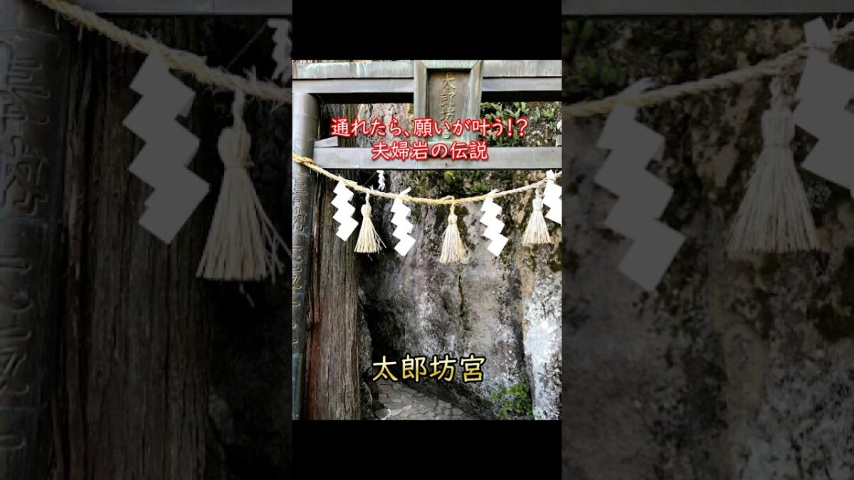 【寺社ご利益巡り】太郎坊宮（阿賀神社）／滋賀県東近江市　#勝運