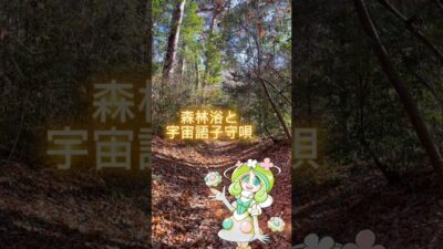 森林浴と宇宙語子守唄