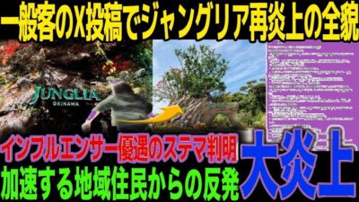 【沖縄ジャングリア炎上】インフルエンサーvs客の真実…ステマ疑惑・有料バス1時間待ちの実態がヤバイ