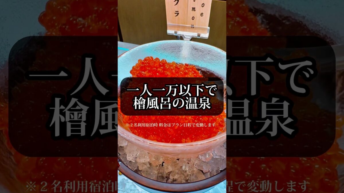 一人1万円以下で部屋檜風呂温泉に豪華海鮮丼食べ放題？　御宿野乃富山　#shorts #旅行 #温泉 #富山ホテル　#デブ活　#toyama #japantravel #食べ放題