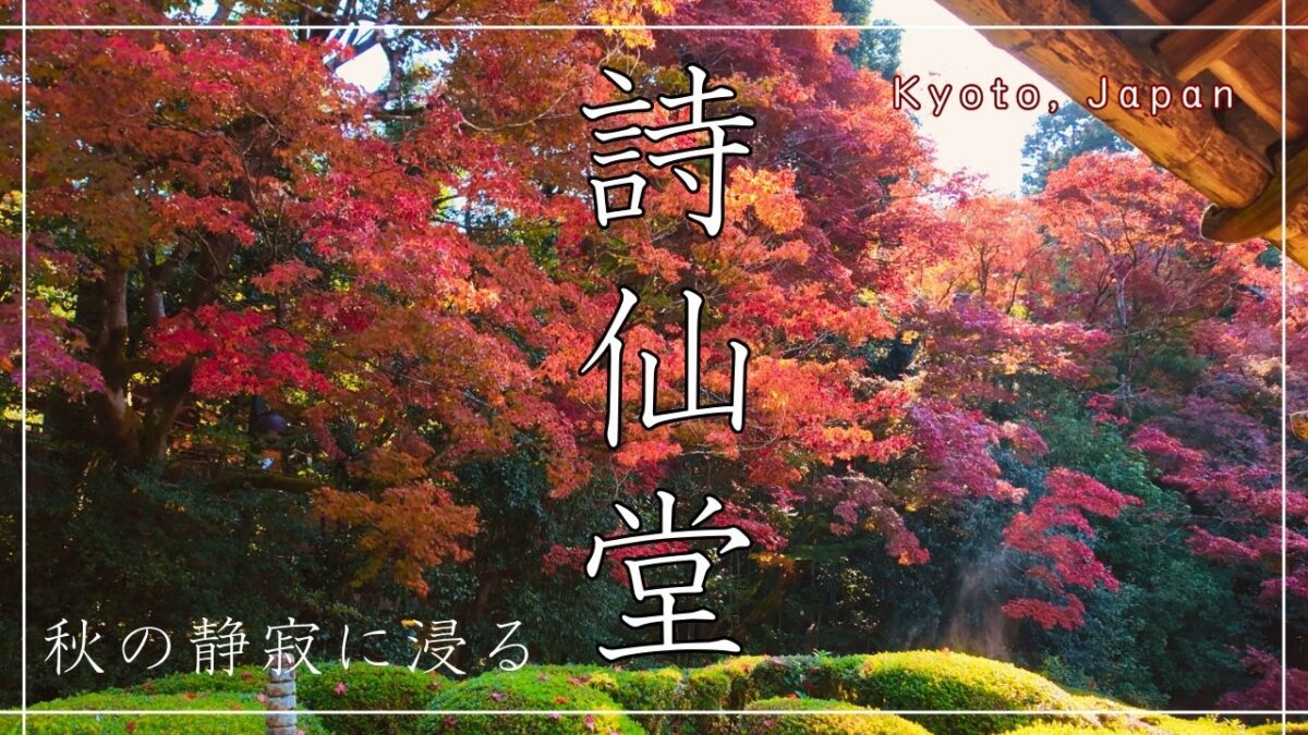 京都・詩仙堂 | 秋の静寂に浸る10分間の旅。鹿おどしの響きと紅葉の庭園【4K / 環境音】