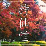 京都・詩仙堂 | 秋の静寂に浸る10分間の旅。鹿おどしの響きと紅葉の庭園【4K / 環境音】