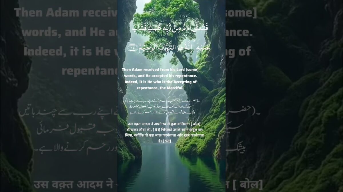 2.37 Baqara #Rainy #health #nature #asmr #islamic#trending #quran #life #savewater #relaxing