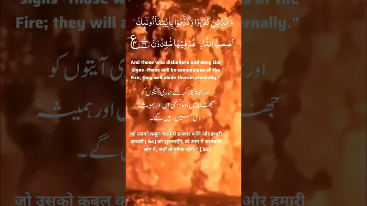 2.39 Baqara #Rainy #health #nature #asmr #islamic#trending #quran #life #savewater #relaxing