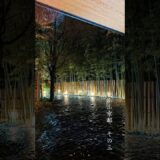 【京都】ふふ京都 和の静けさと美しさの宿その3  ルームツアー #ふふ京都 #京都宿 #fufu #fufukyoto #京都 #そうだ京都行こう #ルームツアー  #京都観光 #温泉宿 #kyoto