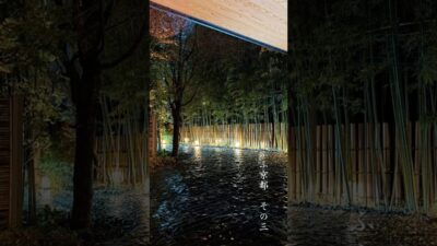 【京都】ふふ京都 和の静けさと美しさの宿その3  ルームツアー #ふふ京都 #京都宿 #fufu #fufukyoto #京都 #そうだ京都行こう #ルームツアー  #京都観光 #温泉宿 #kyoto